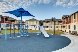 The Grove play structure and park area